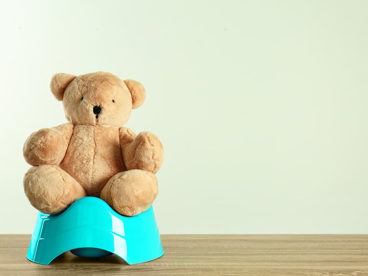 Ein Teddybär sitzt auf einem Töpfchen